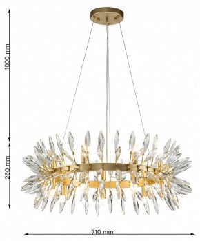 Подвесная люстра Favourite Rays 4058-14P в Сысерти - sysert.mebel24.online | фото 7