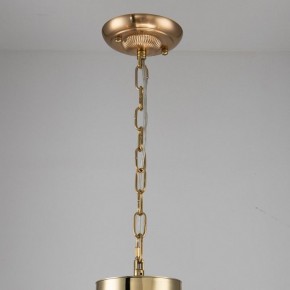 Подвесная люстра Favourite Rocca 2689-6P в Сысерти - sysert.mebel24.online | фото 4