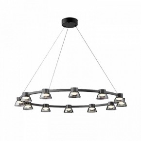 Подвесная люстра Favourite Twix 4247-12P в Сысерти - sysert.mebel24.online | фото 2