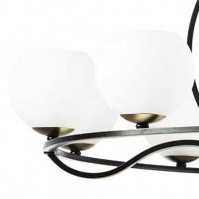Подвесная люстра Lightstar Enna 762117 в Сысерти - sysert.mebel24.online | фото 4
