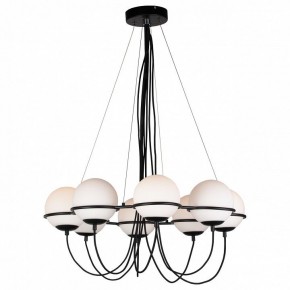 Подвесная люстра Lightstar Globo 803287 в Сысерти - sysert.mebel24.online | фото 3