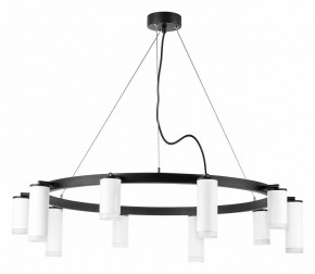 Подвесная люстра Lightstar Rullo LR0203658650 в Сысерти - sysert.mebel24.online | фото 2