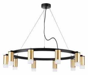 Подвесная люстра Lightstar Rullo LR0204001 в Сысерти - sysert.mebel24.online | фото 2
