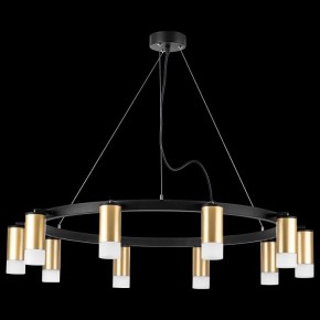 Подвесная люстра Lightstar Rullo LR0204001 в Сысерти - sysert.mebel24.online | фото 3
