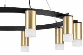 Подвесная люстра Lightstar Rullo LR0204001 в Сысерти - sysert.mebel24.online | фото 5