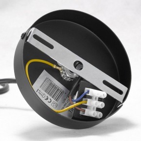 Подвесная люстра Lussole Kenner GRLSP-8271 в Сысерти - sysert.mebel24.online | фото 7