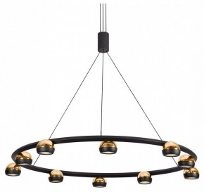 Подвесная люстра Lussole Lassen LSP-7253 в Сысерти - sysert.mebel24.online | фото