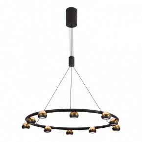 Подвесная люстра Lussole Lassen LSP-7253 в Сысерти - sysert.mebel24.online | фото 2