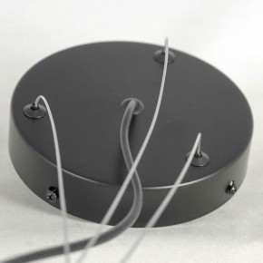Подвесная люстра Lussole LSP-875 LSP-8750 в Сысерти - sysert.mebel24.online | фото 5