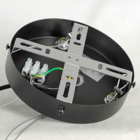 Подвесная люстра Lussole LSP-875 LSP-8750 в Сысерти - sysert.mebel24.online | фото 7