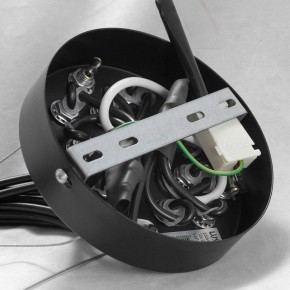 Подвесная люстра Lussole Seneca GRLSP-8177 в Сысерти - sysert.mebel24.online | фото 10