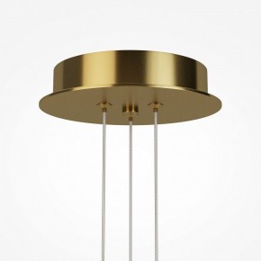 Подвесная люстра Maytoni Arana MOD401PL-L108BS3K в Сысерти - sysert.mebel24.online | фото 7