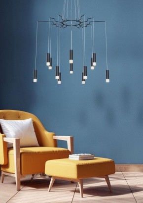 Подвесная люстра Maytoni Davida MOD035PL-12B в Сысерти - sysert.mebel24.online | фото 5
