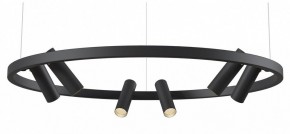 Подвесная люстра Maytoni Halo MOD102PL-L42BK в Сысерти - sysert.mebel24.online | фото
