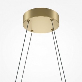 Подвесная люстра Maytoni Halo MOD244PL-L50BSK в Сысерти - sysert.mebel24.online | фото 4