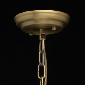 Подвесная люстра MW-Light Альгеро 3 285010703 в Сысерти - sysert.mebel24.online | фото 14