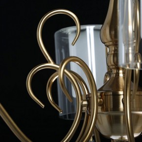 Подвесная люстра MW-Light Эллегия 8 303012708 в Сысерти - sysert.mebel24.online | фото 7