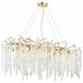 Подвесная люстра Odeon Light Banche 1 5005/12 в Сысерти - sysert.mebel24.online | фото 2