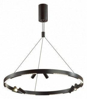 Подвесная люстра Odeon Light Beveren 6683/103L в Сысерти - sysert.mebel24.online | фото 2