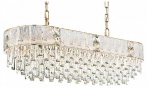 Подвесная люстра Odeon Light Fiesta 5070/14 в Сысерти - sysert.mebel24.online | фото