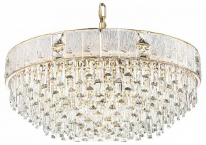 Подвесная люстра Odeon Light Fiesta 5070/21 в Сысерти - sysert.mebel24.online | фото
