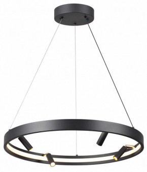 Подвесная люстра Odeon Light Fonda 4317/58L в Сысерти - sysert.mebel24.online | фото 2