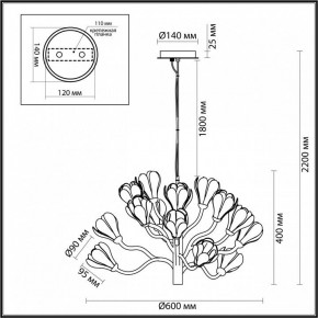 Подвесная люстра Odeon Light Gardi 5090/15 в Сысерти - sysert.mebel24.online | фото 6