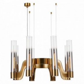 Подвесная люстра ST-Luce Ettore SL1235.303.08 в Сысерти - sysert.mebel24.online | фото 3