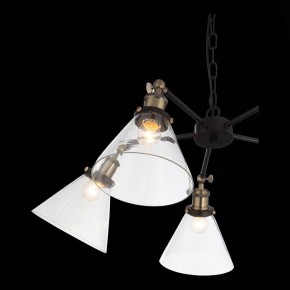 Подвесная люстра ST-Luce Evoluto SL237.413.05 в Сысерти - sysert.mebel24.online | фото 7