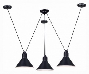 Подвесная люстра ST-Luce Svevo SL1804.403.03 в Сысерти - sysert.mebel24.online | фото 2