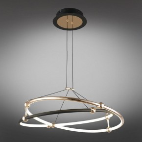 Подвесной светильник Aployt Diana APL.034.03.40 в Сысерти - sysert.mebel24.online | фото 11