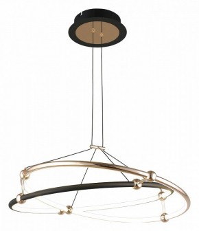 Подвесной светильник Aployt Diana APL.034.03.40 в Сысерти - sysert.mebel24.online | фото 2