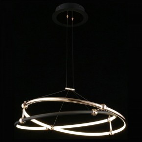 Подвесной светильник Aployt Diana APL.034.03.40 в Сысерти - sysert.mebel24.online | фото 3