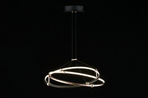 Подвесной светильник Aployt Diana APL.034.03.40 в Сысерти - sysert.mebel24.online | фото 5