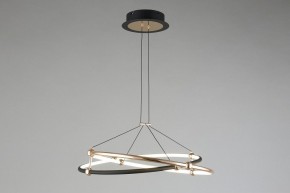 Подвесной светильник Aployt Diana APL.034.03.40 в Сысерти - sysert.mebel24.online | фото 7
