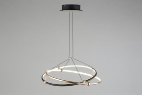 Подвесной светильник Aployt Diana APL.034.03.40 в Сысерти - sysert.mebel24.online | фото 9