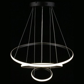 Подвесной светильник Aployt Janina APL.018.03.60 в Сысерти - sysert.mebel24.online | фото 12