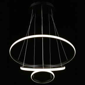 Подвесной светильник Aployt Janina APL.018.03.60 в Сысерти - sysert.mebel24.online | фото 7