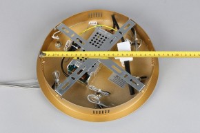 Подвесной светильник Aployt Janina APL.018.13.60 в Сысерти - sysert.mebel24.online | фото 11