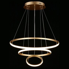 Подвесной светильник Aployt Janina APL.018.13.60 в Сысерти - sysert.mebel24.online | фото 4