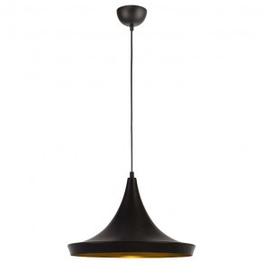 Подвесной светильник Arte Lamp Capello A3406SP-1BK в Сысерти - sysert.mebel24.online | фото 2