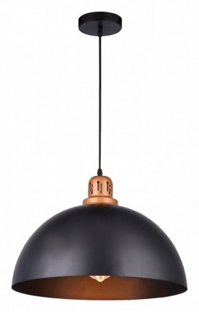 Подвесной светильник Arte Lamp Eurica A4249SP-1BK в Сысерти - sysert.mebel24.online | фото 2