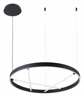 Подвесной светильник Arte Lamp Ricco A1874SP-32BK в Сысерти - sysert.mebel24.online | фото 2