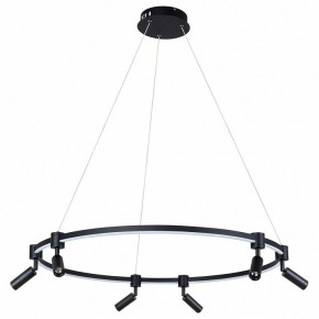 Подвесной светильник Arte Lamp Ring A2186SP-1BK в Сысерти - sysert.mebel24.online | фото 2