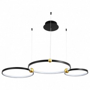 Подвесной светильник Divinare Amadeo 1123/04 SP-75 в Сысерти - sysert.mebel24.online | фото