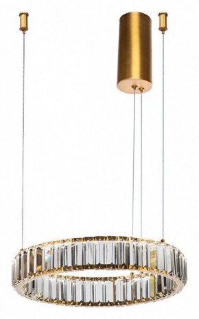 Подвесной светильник Divinare Renata 1135/17 SP-25 в Сысерти - sysert.mebel24.online | фото 2