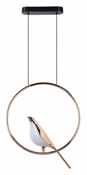 Подвесной светильник Divinare Summer 1188/01 SP-9 в Сысерти - sysert.mebel24.online | фото 2