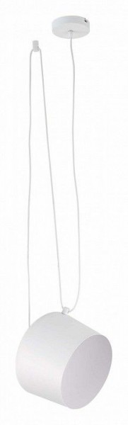 Подвесной светильник EVOLUCE Trieste SLE120653-01 в Сысерти - sysert.mebel24.online | фото 2