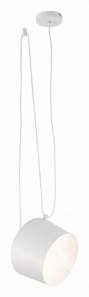 Подвесной светильник EVOLUCE Trieste SLE120653-01 в Сысерти - sysert.mebel24.online | фото 3
