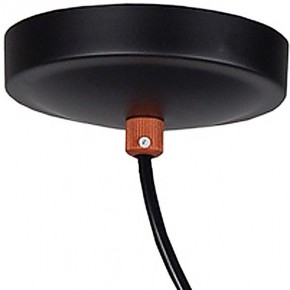 Подвесной светильник Favourite Ampolla 2007-1P в Сысерти - sysert.mebel24.online | фото 4